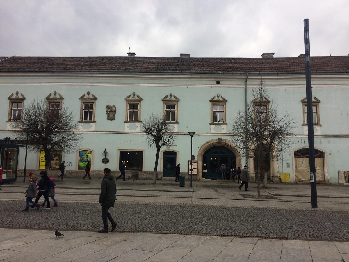 Casa Roz Hostel Cluj-Napoca Exterior photo